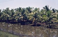 IND-Backwaters-197x-055.jpg