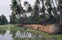 IND-Backwaters-197x-056.jpg