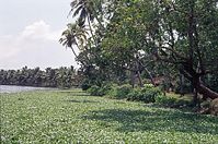 IND-Backwaters-197x-058.jpg