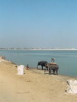 IND-Benares-1974-113.jpg