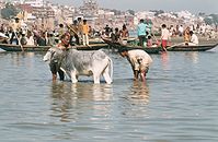 IND-Benares-1974-115.jpg