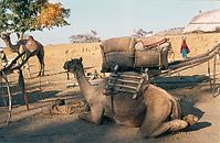 IND-Benares-1974-303.jpg