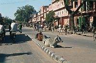 Dateiname=IND-Benares-1974-304.jpg
Dateigröße=71KB
Abmessungen: 600x394
hinzugefügt am: 13. November 2010 IND-Benares-1974-304.jpg