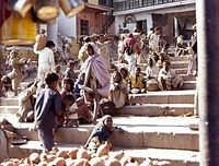 Dateiname=IND-Benares-1974-413.jpg
Dateigröße=76KB
Abmessungen: 600x457
hinzugefügt am: 13. November 2010 IND-Benares-1974-413.jpg