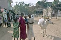 IND-Hyderabad-1974-115.jpg