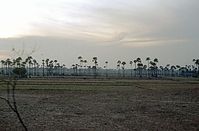 IND-Hyderabad-1974-144.jpg
