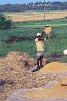 IND-Kattajam-197x-450.jpg