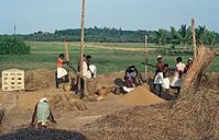 IND-Kattajam-197x-452.jpg