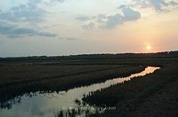 IND-Kattajam-197x-453.jpg