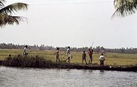 IND-Tri-197x-101.jpg