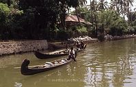 IND-Tri-197x-105.jpg