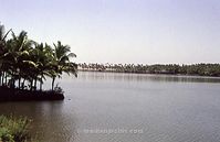 IND-Tri-197x-106.jpg