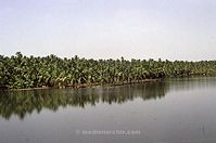 IND-Tri-197x-108.jpg