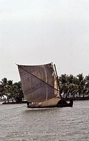 IND-Tri-197x-112.jpg