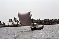 IND-Tri-197x-114.jpg