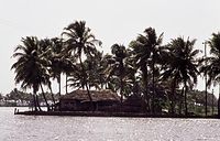 IND-Tri-197x-116.jpg