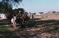 Ind1982-087.jpg