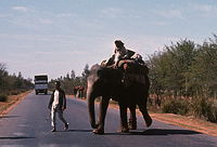 Ind1982-090.jpg