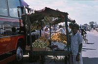 Ind1982-097.jpg