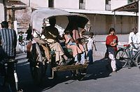 Ind1982-166.jpg