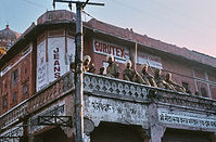 Ind1982-168.jpg