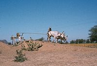 Ind1982-180.jpg