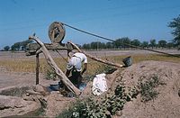 Ind1982-181.jpg
