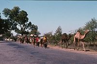 Ind1982-193.jpg