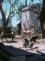 Ind1982-202.jpg