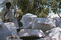 Ind1982-236.jpg