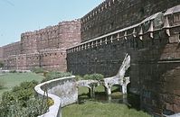 Ind1982-238.jpg