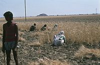 Ind1982-286.jpg