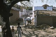 Ind1982-287.jpg