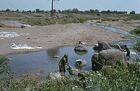 Ind1982-295.jpg