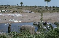 Ind1982-296.jpg