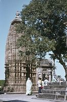 Ind1982-303.jpg
