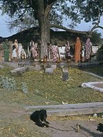 Ind1982-327.jpg