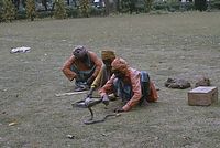Ind1982-376.jpg