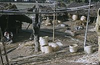 Ind1982-392.jpg