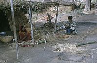 Ind1982-394.jpg