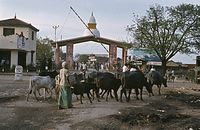 Ind1982-399.jpg