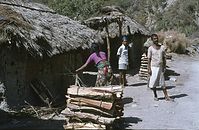 Ind1982-404.jpg