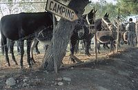 ItaLiImp1964-072.jpg