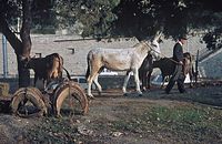 ItaLiImp1964-075.jpg