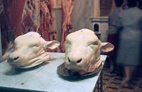 ItaLiImp1964-090.jpg