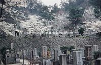 Dateiname=JPN-1958-066.jpg
Dateigröße=84KB
Abmessungen: 600x389
hinzugefügt am: 23. Januar 2012 JPN-1958-066.jpg