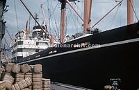 JPN-1958-076.jpg