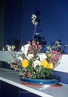 JPN-1969-101.jpg