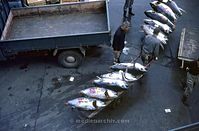 JPN-Fischmarkt-1970-123.jpg