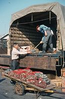JPN-Fischmarkt-1970-133.jpg